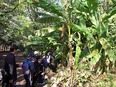 小石川植物園③