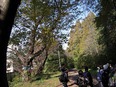 小石川植物園⑦