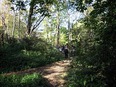 小石川植物園⑫