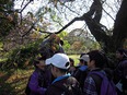 小石川植物園⑯